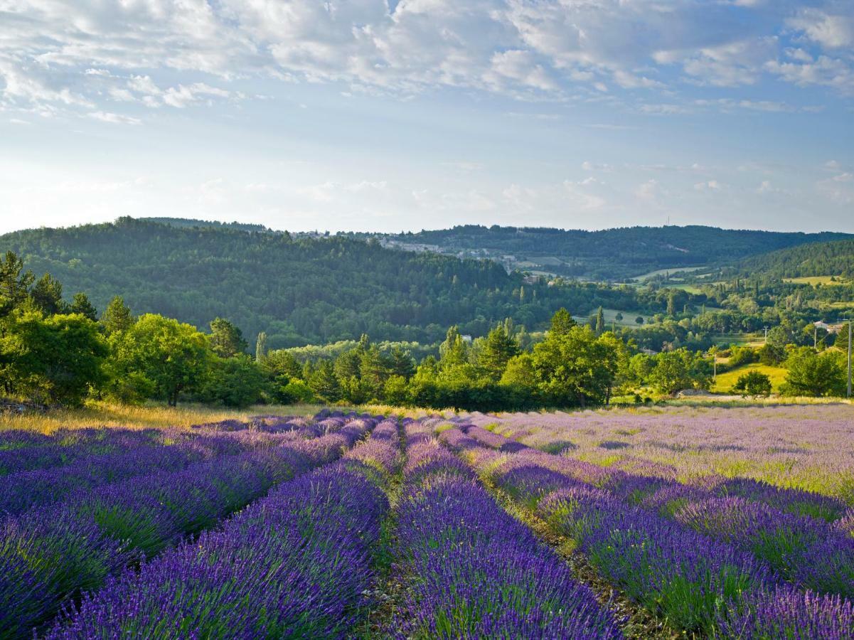 Le Jas De Verdolier Sault-de-Vaucluse Exteriér fotografie